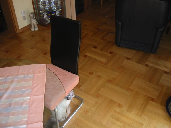 parkett-flechboden-eiche-mit-kirsch-wrfel-einlagen2 parkett-flechboden-eiche-mit-kirsch-wrfel-einlagen2